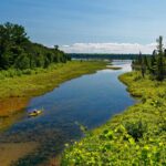 Kayaking vs. Canoeing: Which is Right for You?