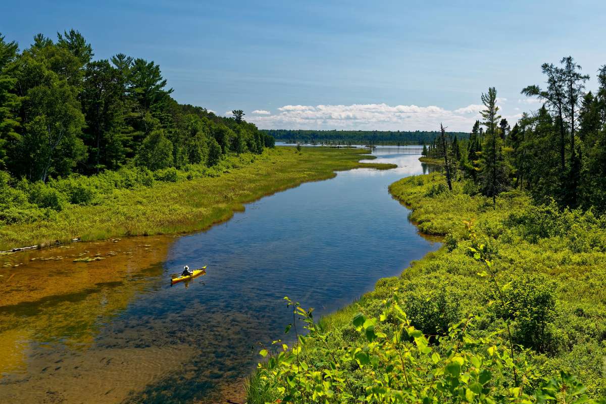 Kayaking vs. Canoeing: Which is Right for You?